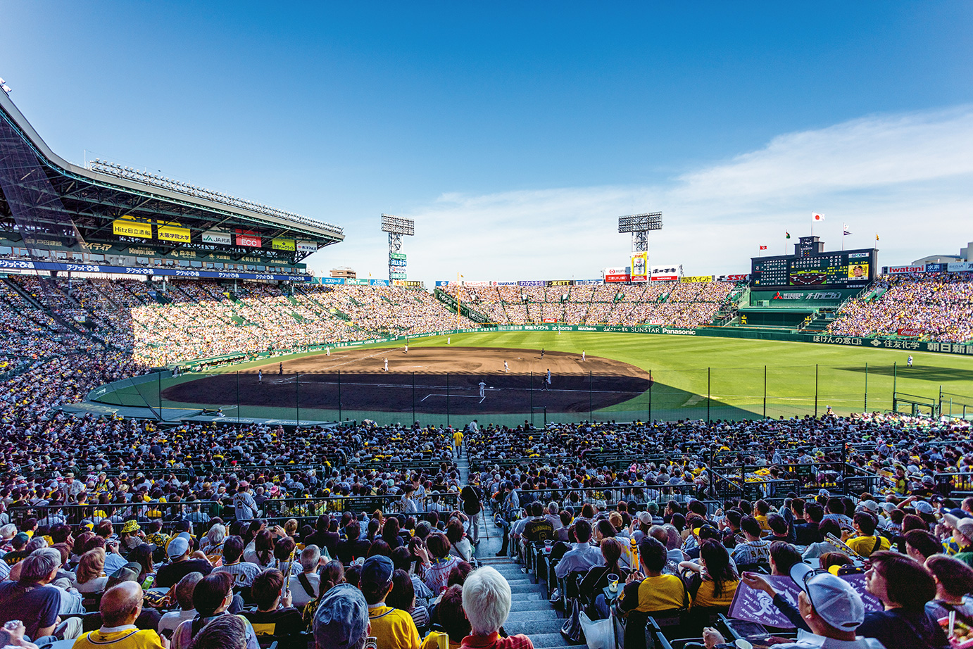 アイビーシートからの風景写真01