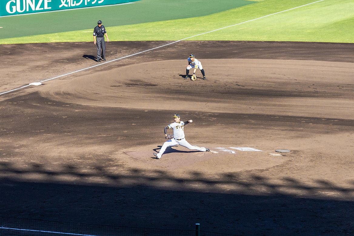 アイビーシートからの風景写真08