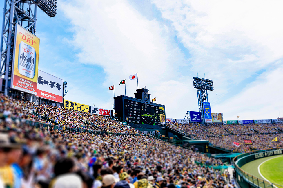 レフト外野指定席からの風景写真02