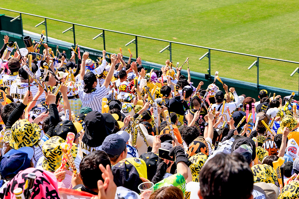 レフト外野指定席からの風景写真04