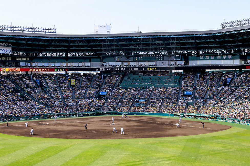 レフト外野指定席からの風景写真10