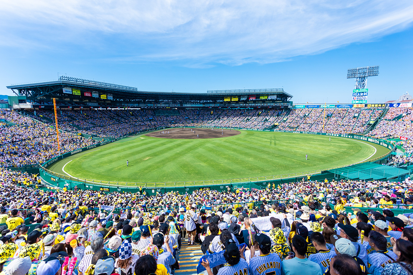 ライト外野指定席からの風景写真01