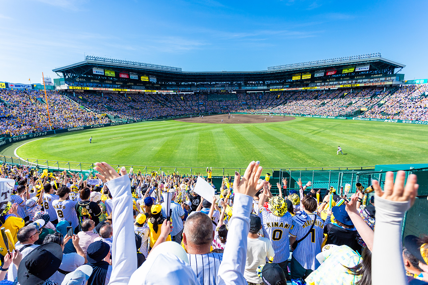 ライト外野指定席からの風景写真09