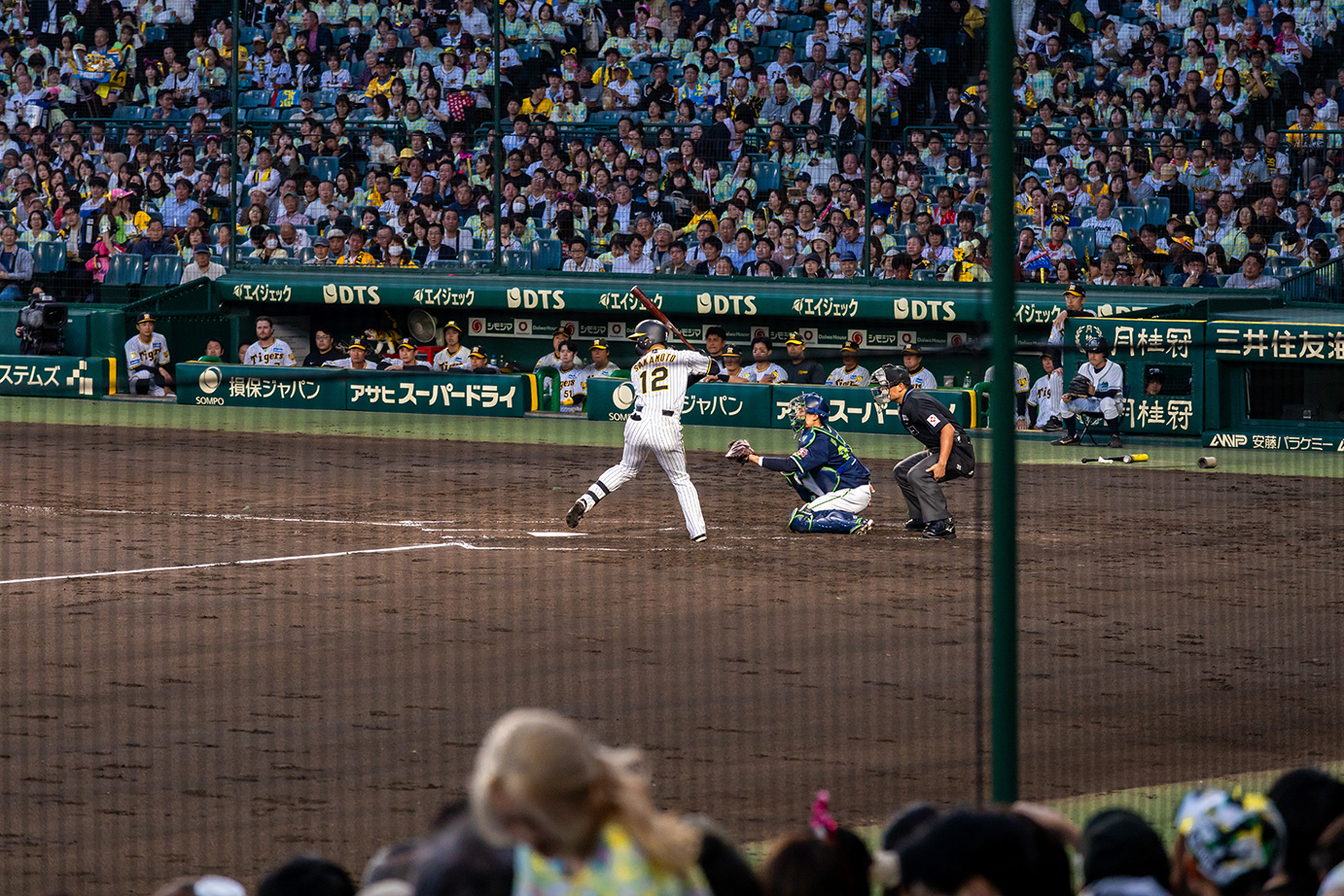 SMBCシート（３塁）からの風景写真03