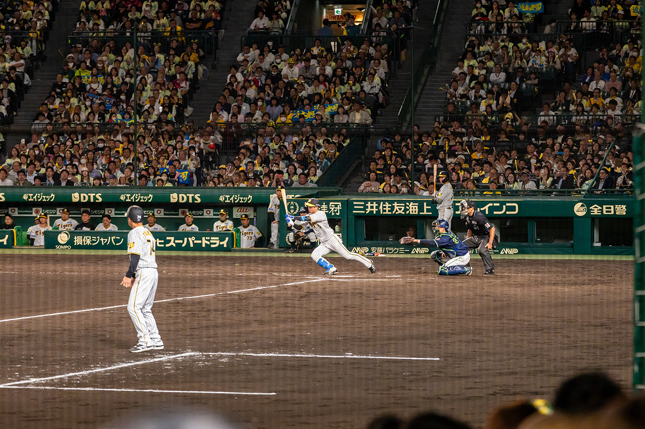 SMBCシート（３塁）からの風景写真08