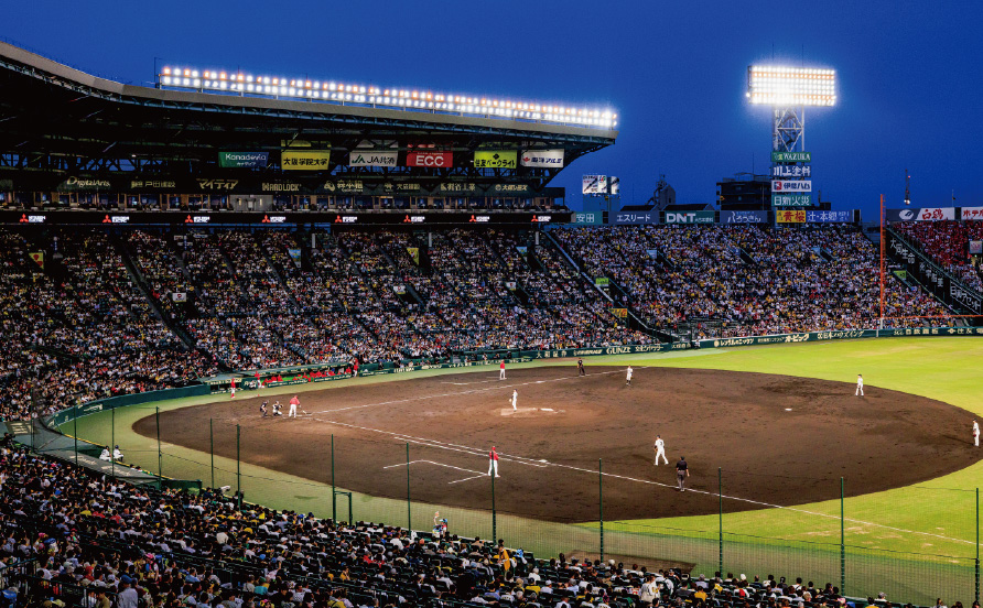 アイビーシートからの風景写真03