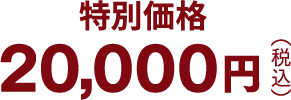 20,000円（税込）