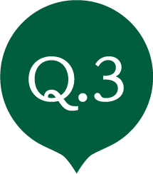 Q.3
