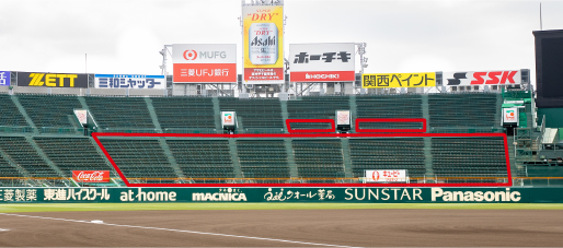 レフト外野指定席エリア