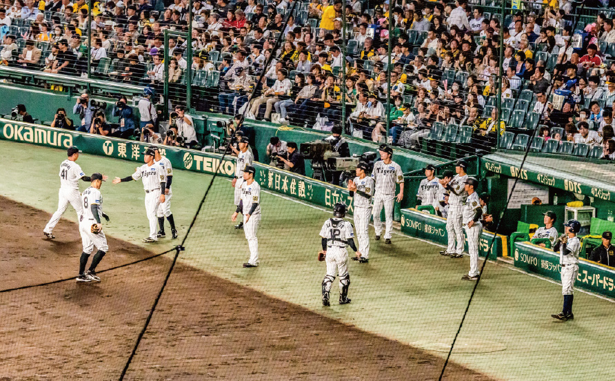 グリーンシートからの風景写真07