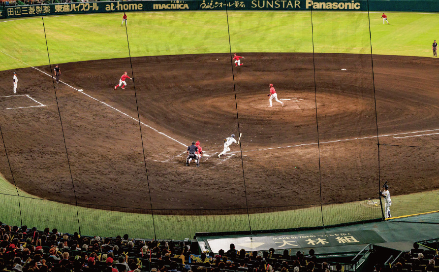 グリーンシートからの風景写真14
