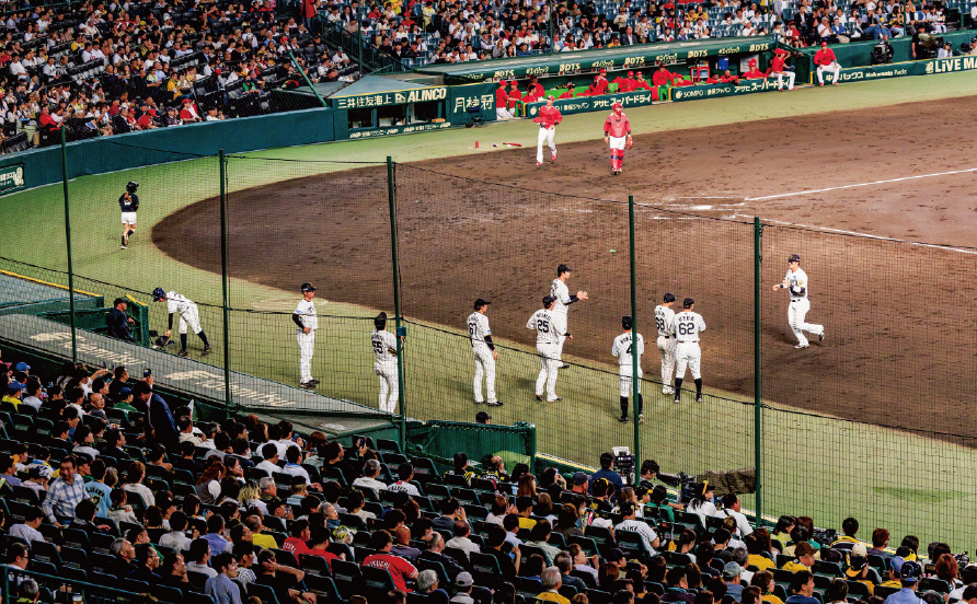 アイビーシートからの風景写真02