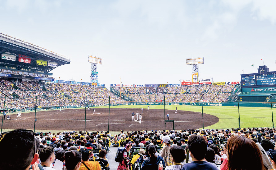 アイビーシートからの風景写真04