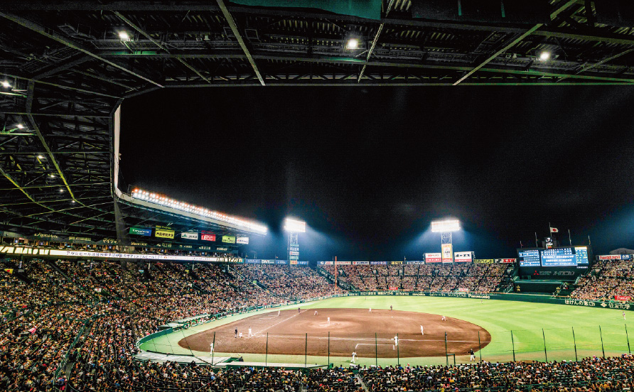 アイビーシートからの風景写真05