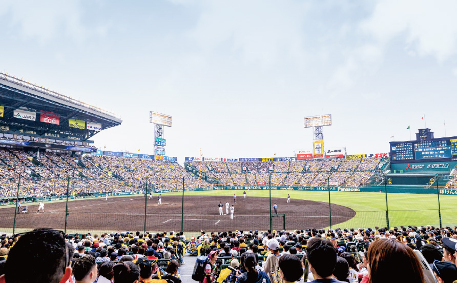 アイビーシートからの風景写真06