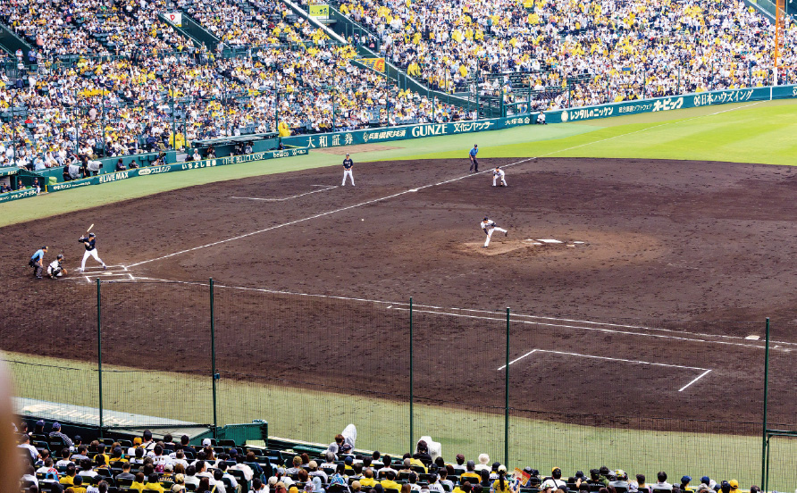 アイビーシートからの風景写真07