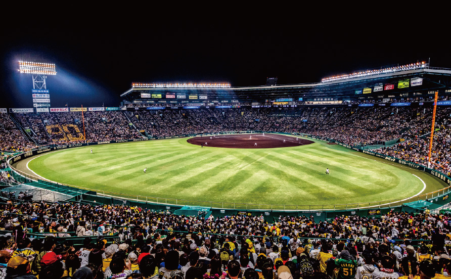 レフト外野指定席からの風景写真05