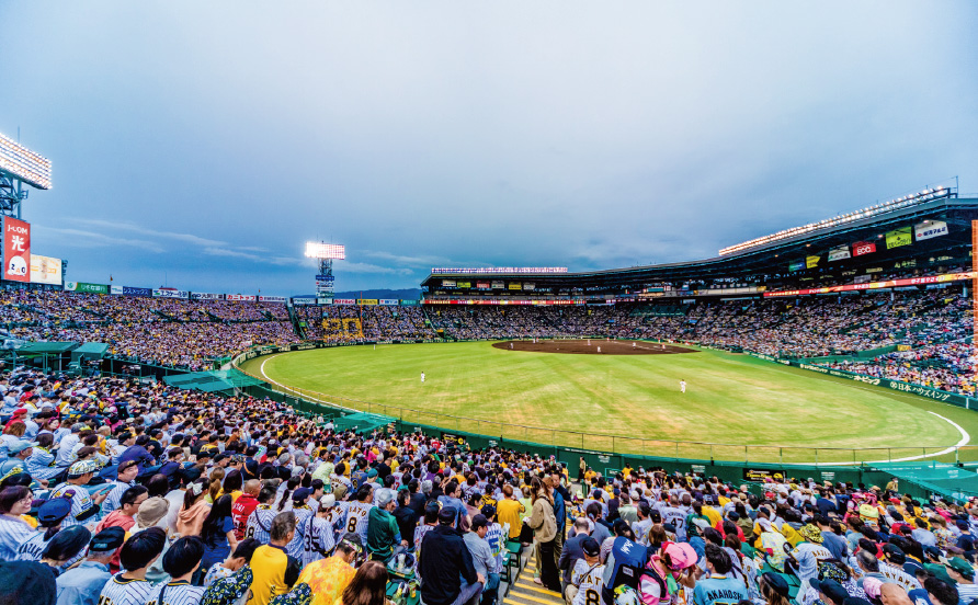 レフト外野指定席からの風景写真06
