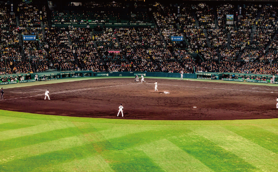 ライト外野指定席からの風景写真04