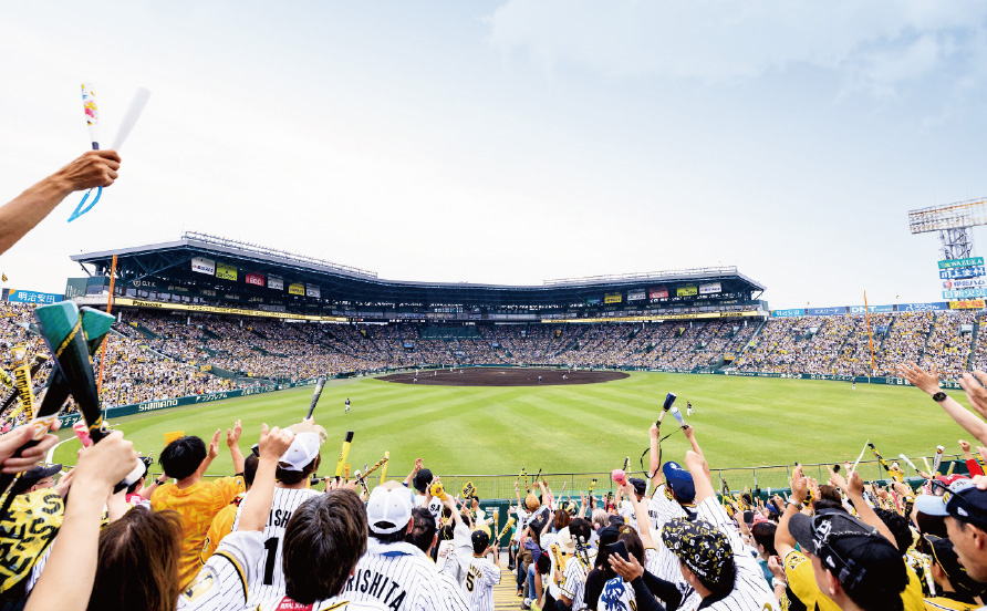 ライト外野指定席からの風景写真06