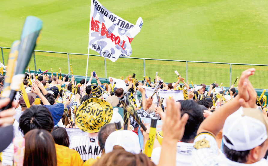 ライト外野指定席からの風景写真09