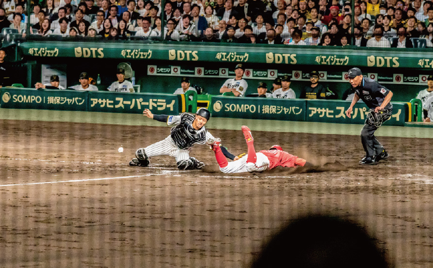 SMBCシート（３塁）からの風景写真06