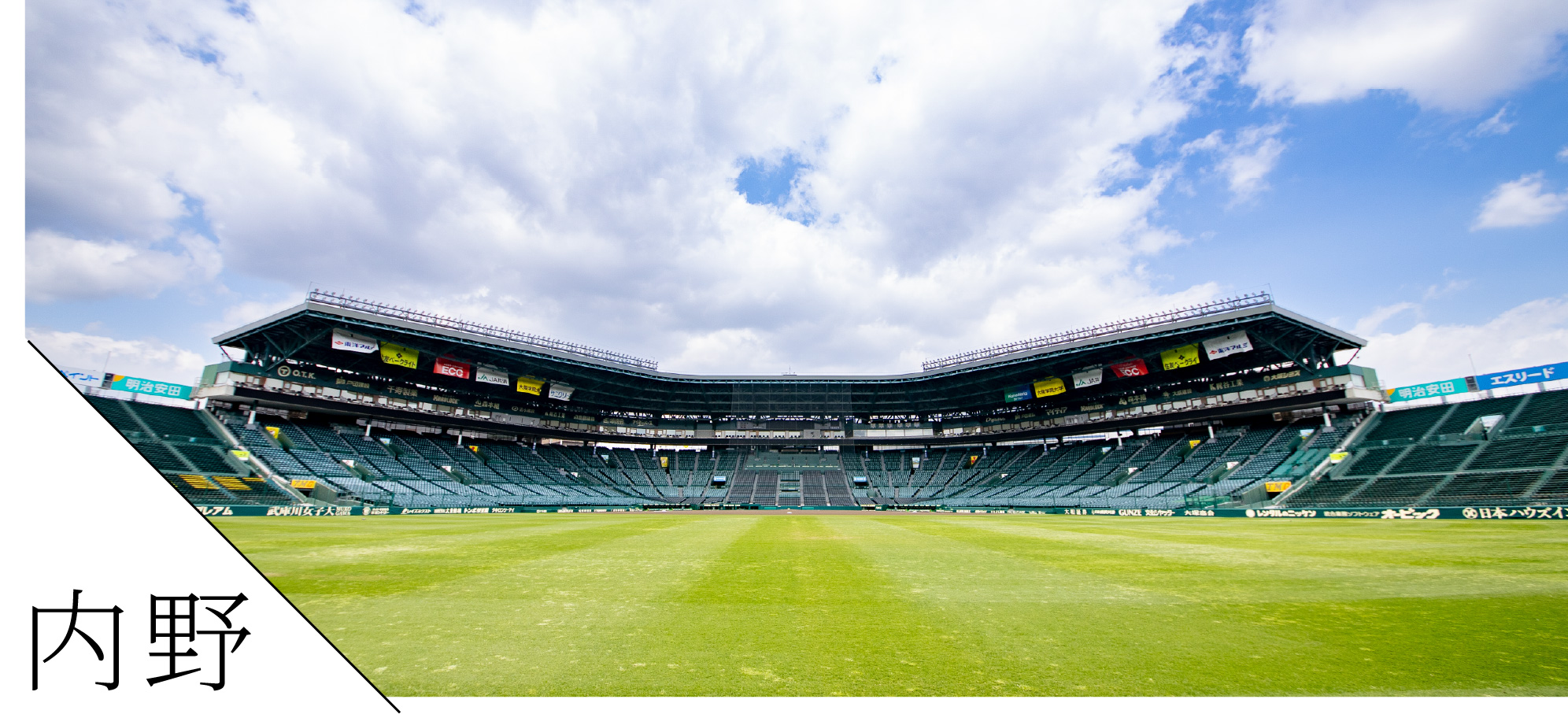 圧倒的な迫力と快適さを兼備した内野エリア