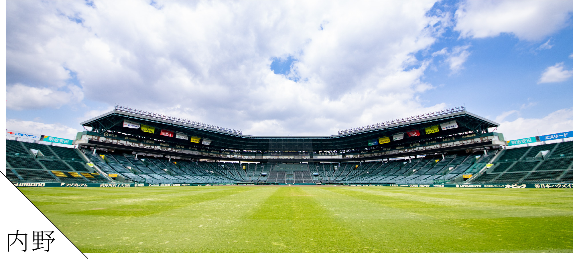 圧倒的な迫力と快適さを兼備した内野エリア