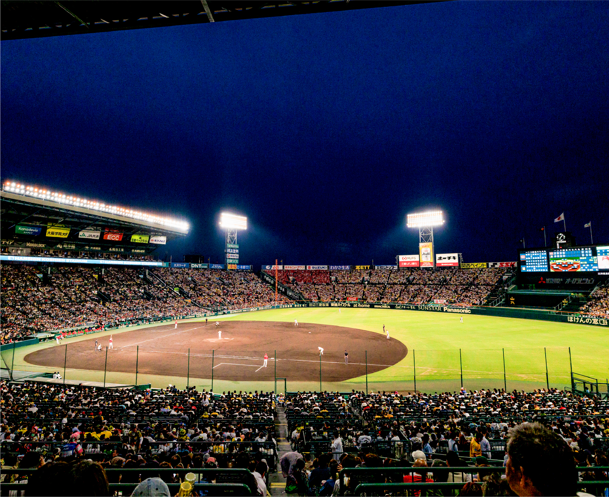 アイビーシート