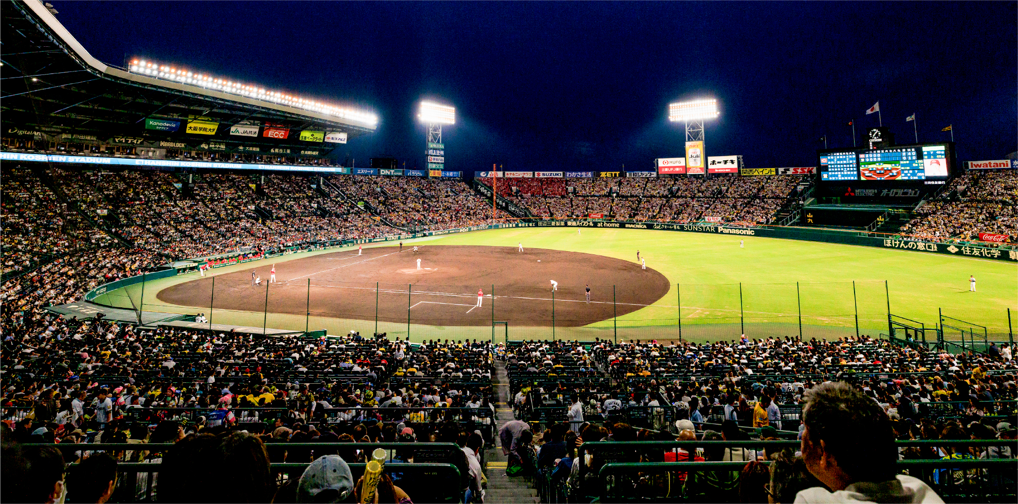 アイビーシート