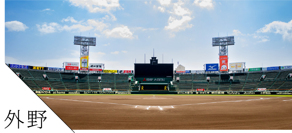 心を揺さぶる興奮と一体感の外野エリア