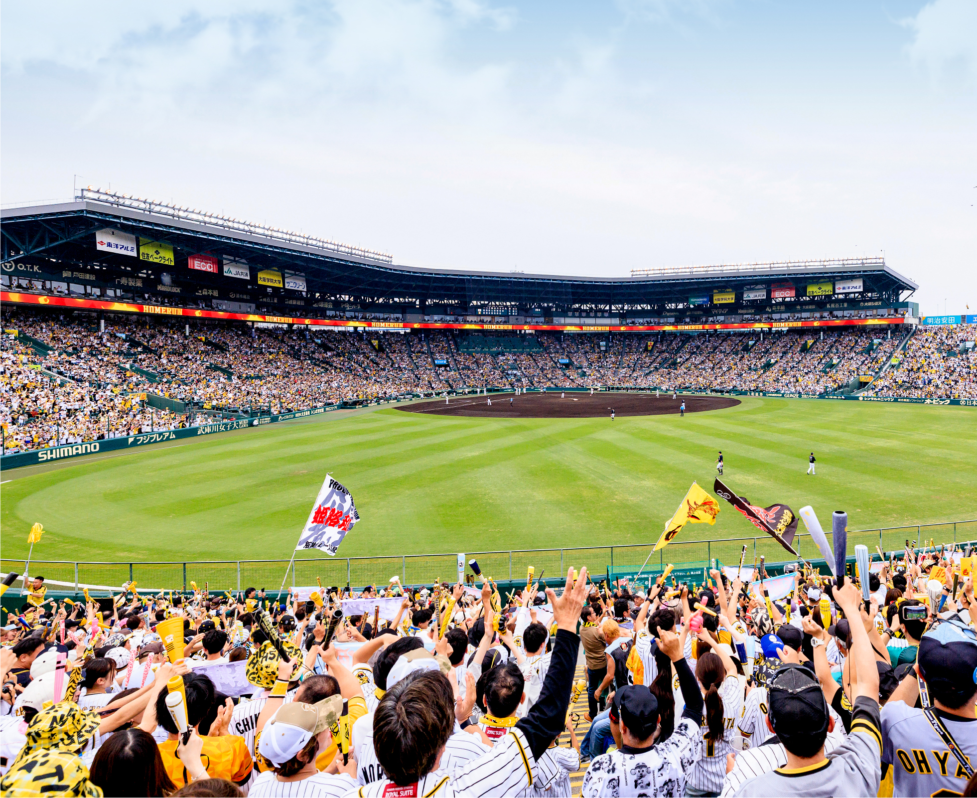 ライト外野指定席