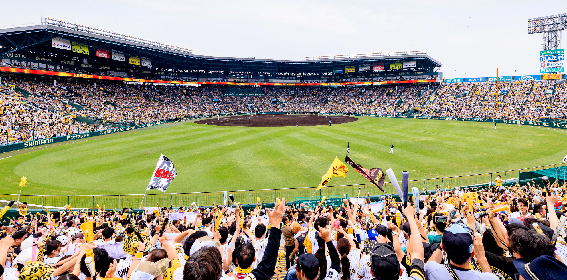 ライト外野指定席