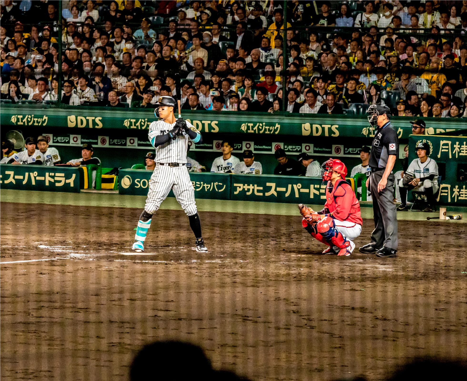 SMBCシート（３塁）