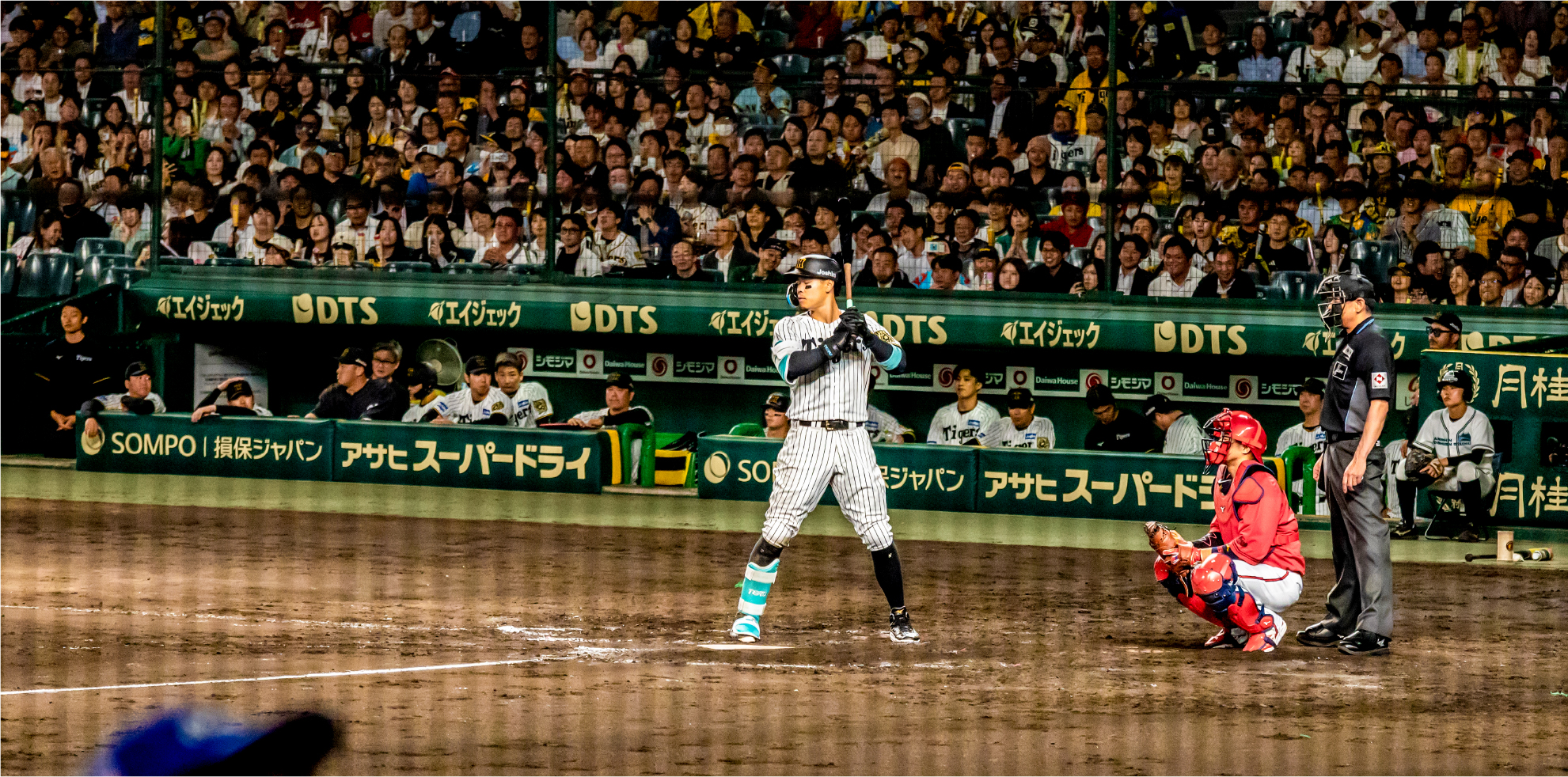 SMBCシート（３塁）