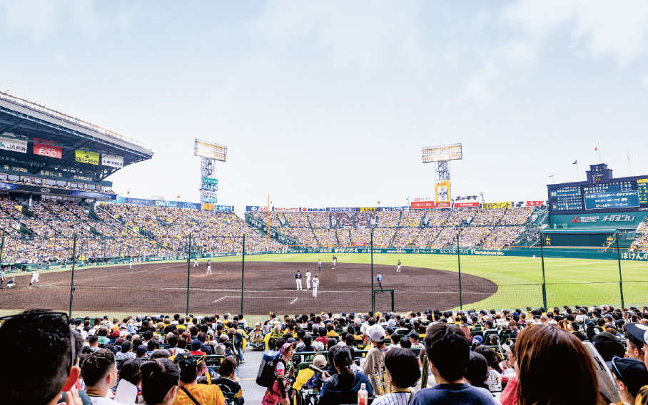 アイビーシート