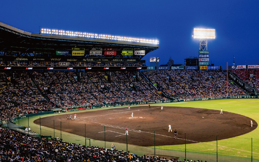 アイビーシート