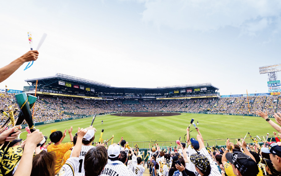 ライト外野指定席