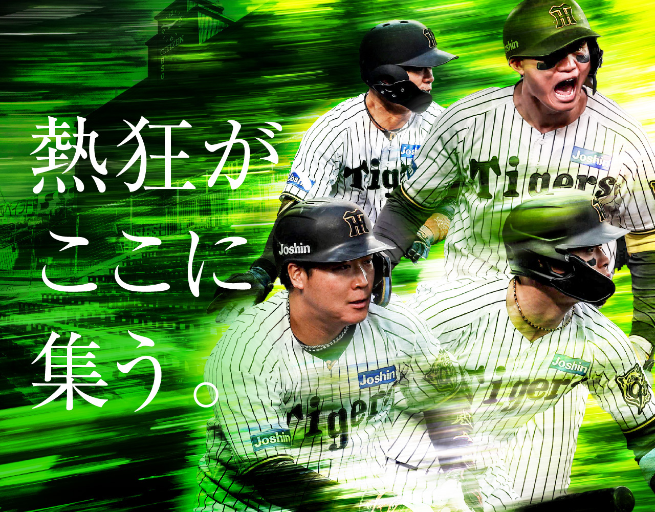 熱狂が、ここに集う