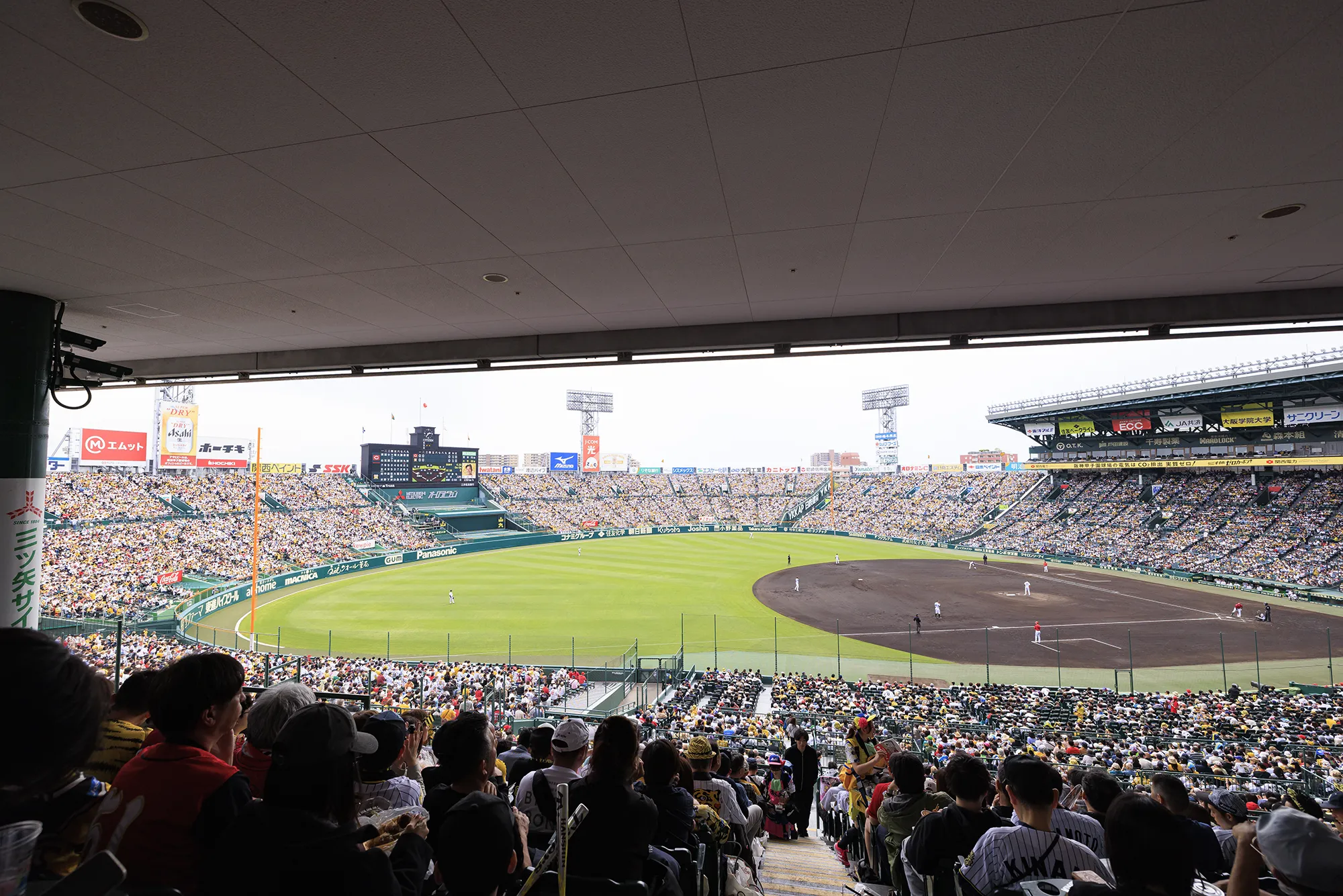 ブリーズシートからの風景写真