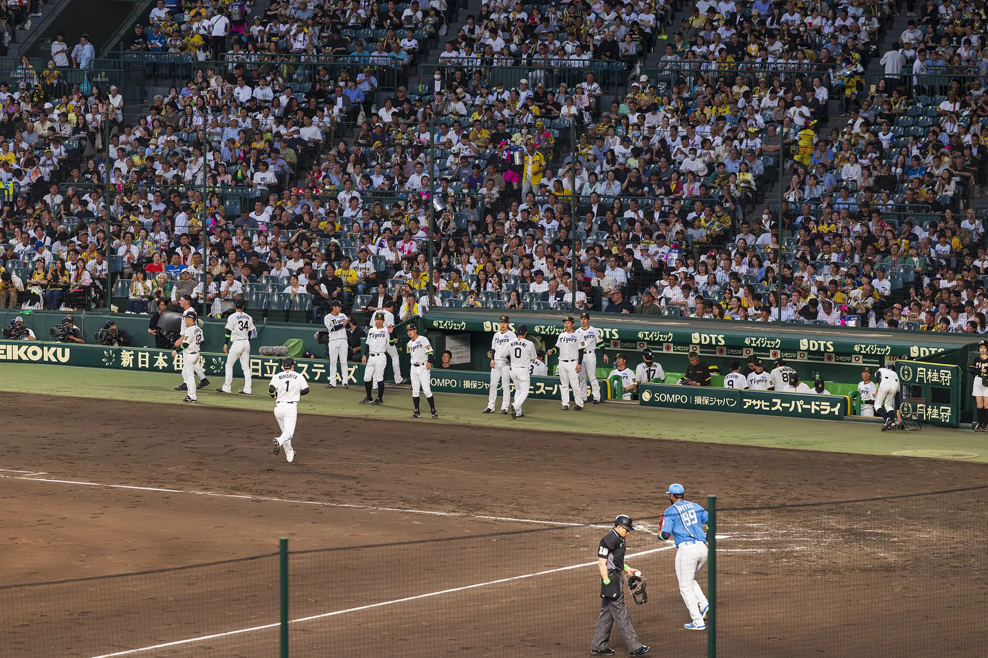 ブリーズシートからの風景写真