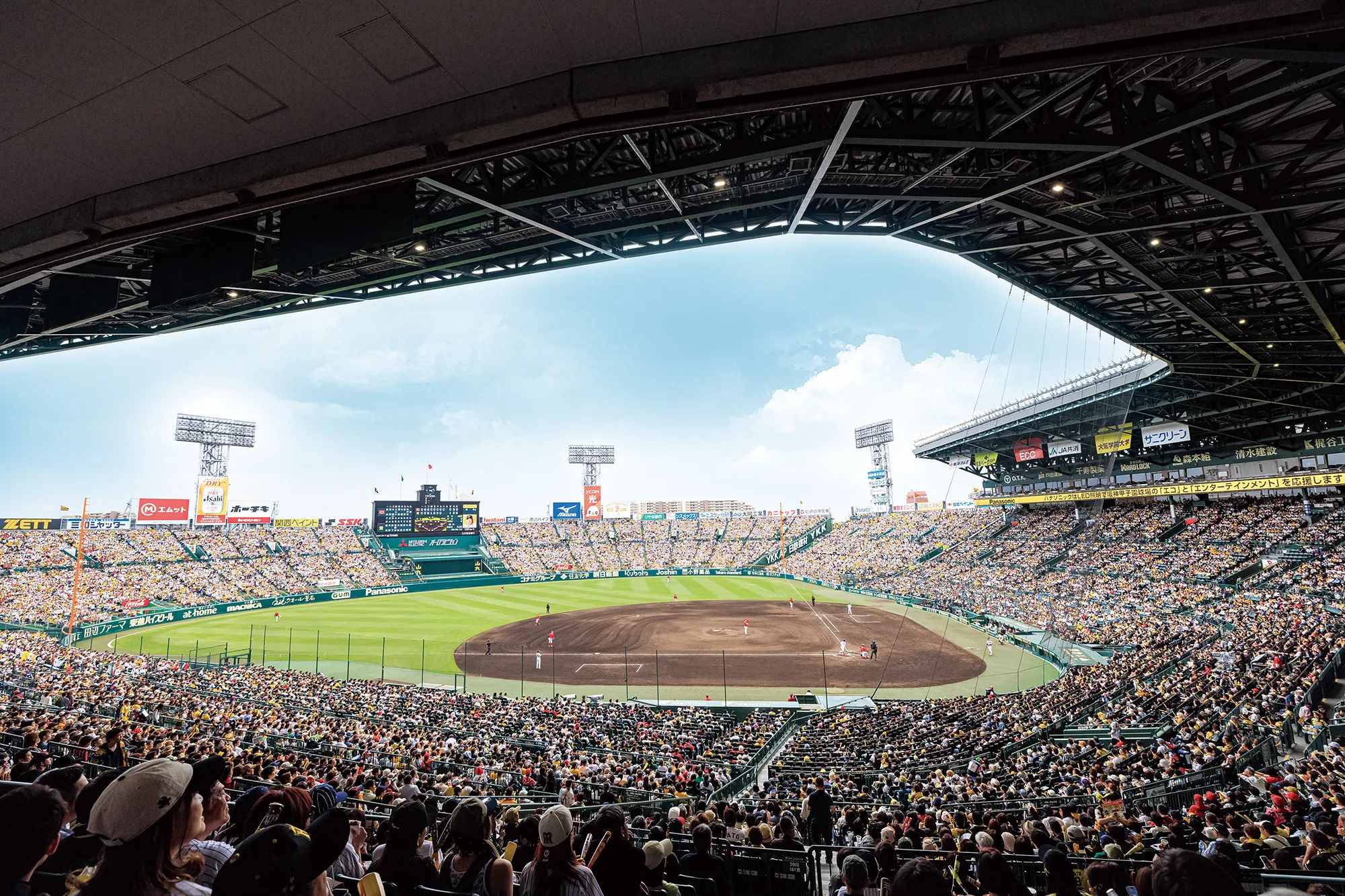 グリーンシートからの風景写真