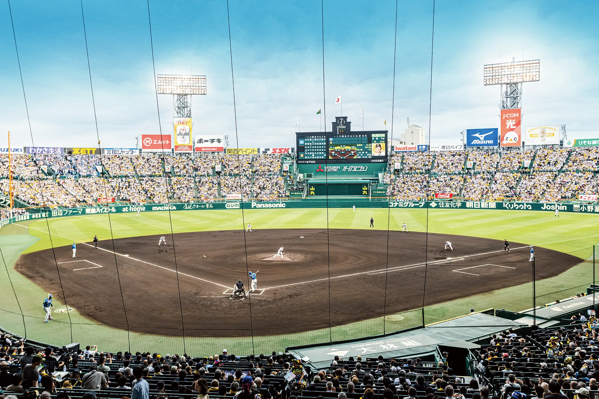 グリーンシートからの風景写真