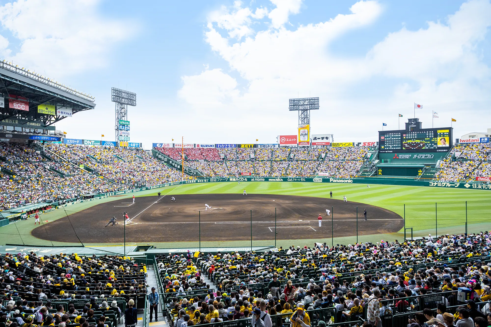 アイビーシートからの風景写真