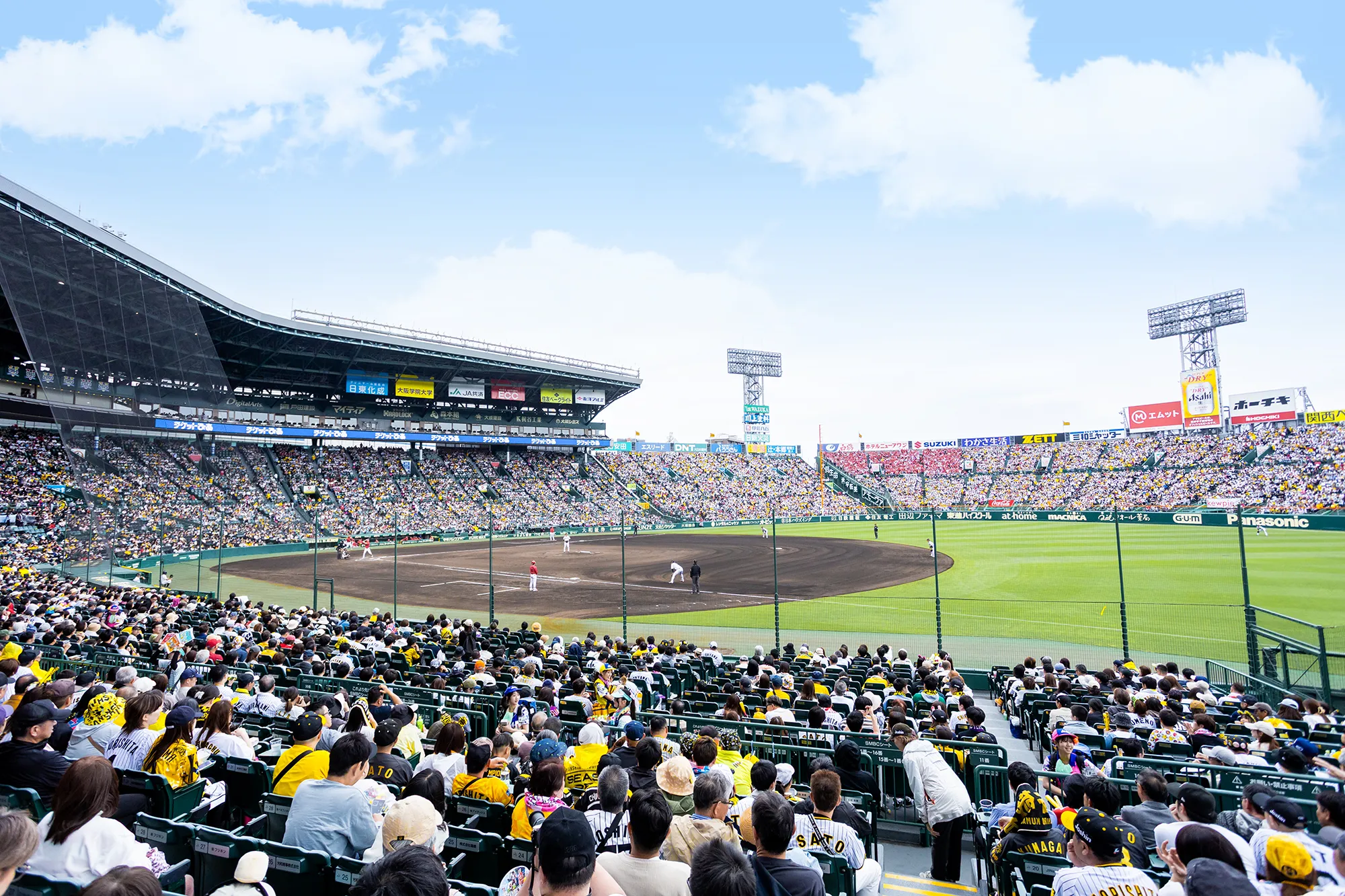 アイビーシートからの風景写真