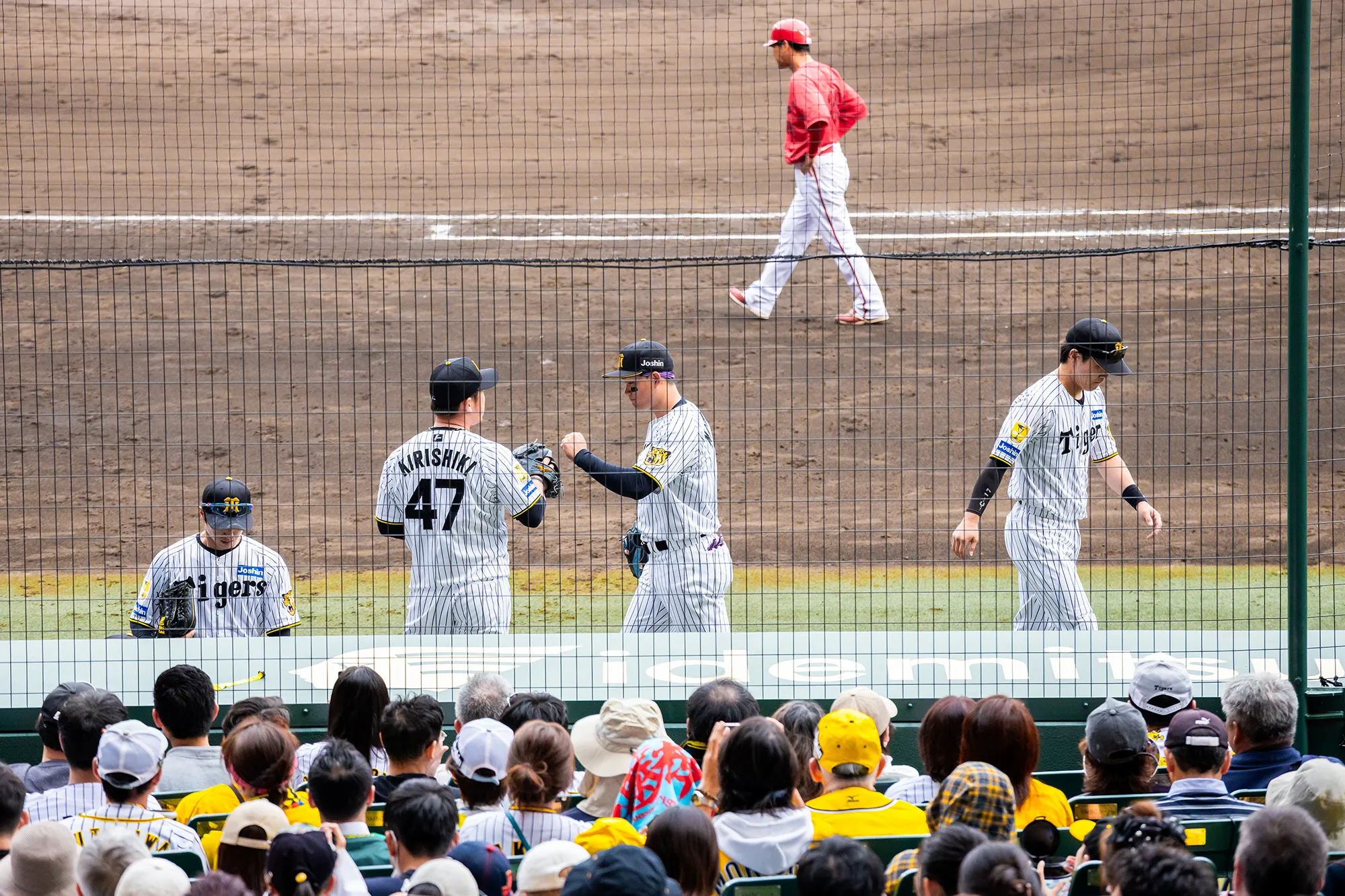 アイビーシートからの風景写真