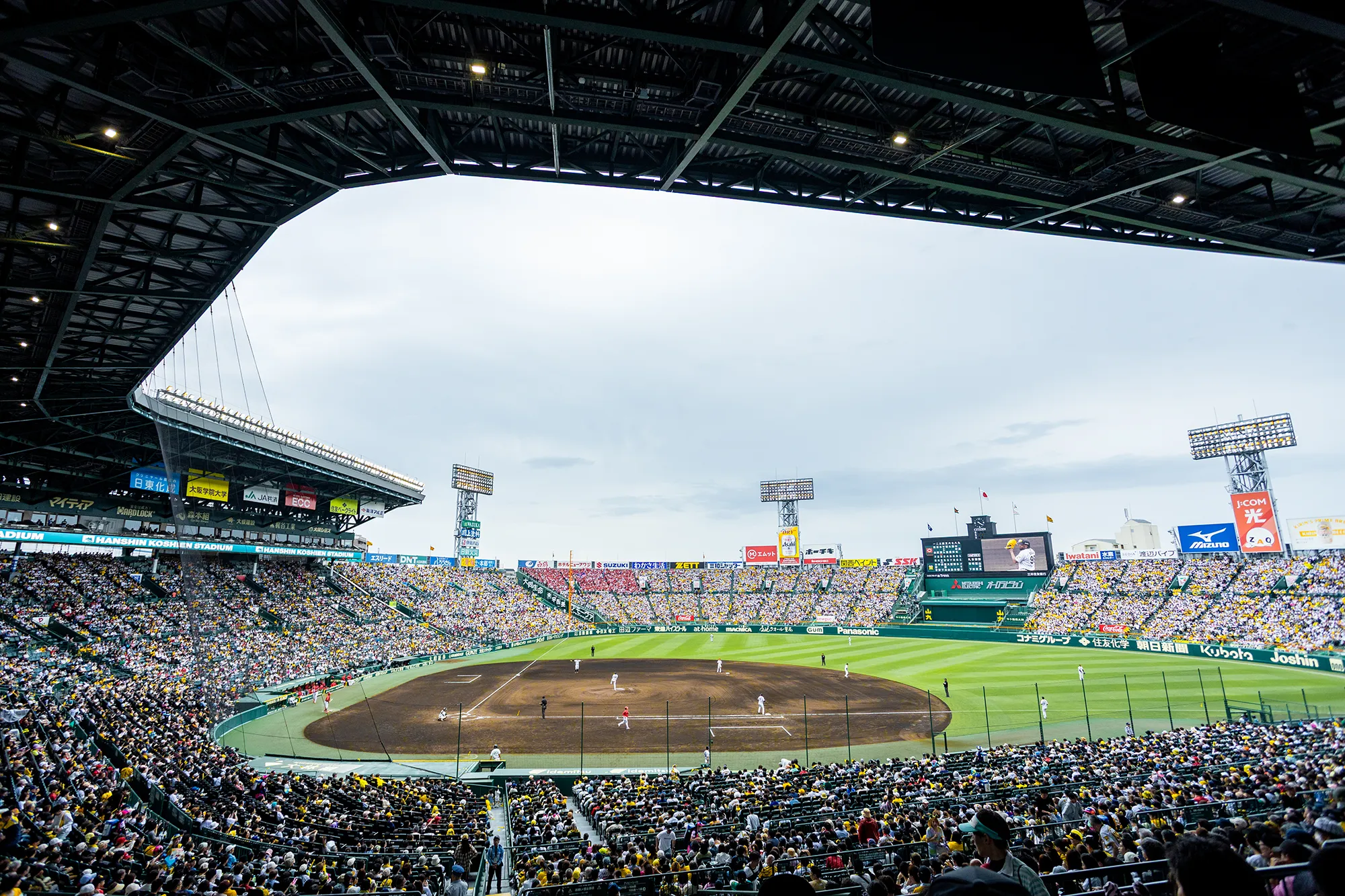 アイビーシートからの風景写真