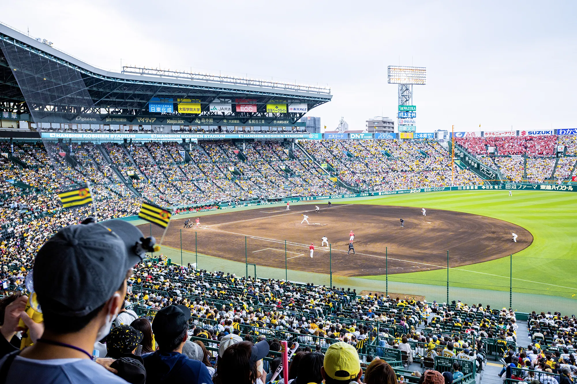 アイビーシートからの風景写真