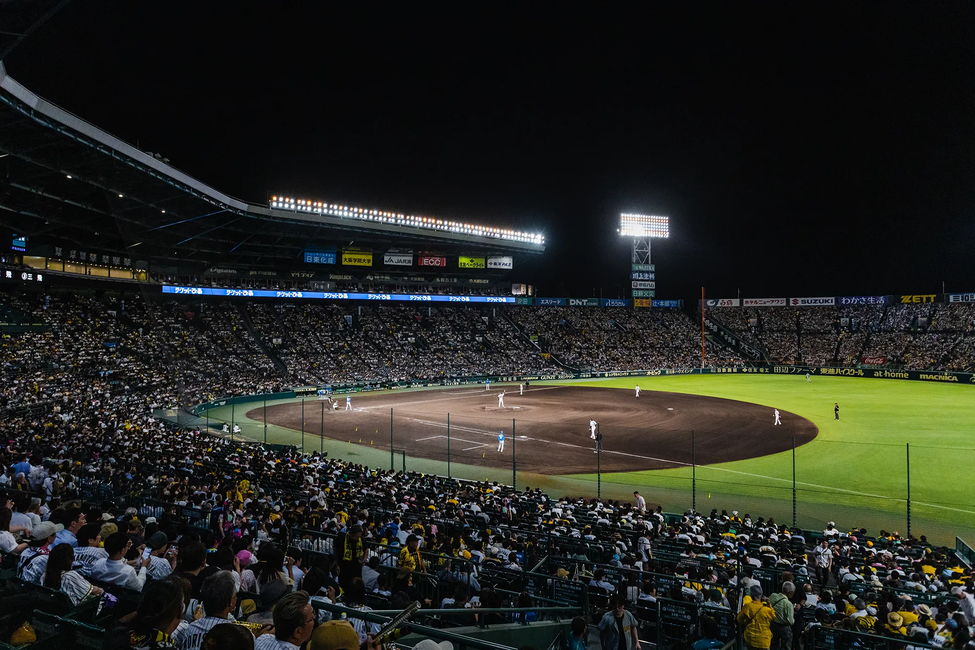 アイビーシートからの風景写真