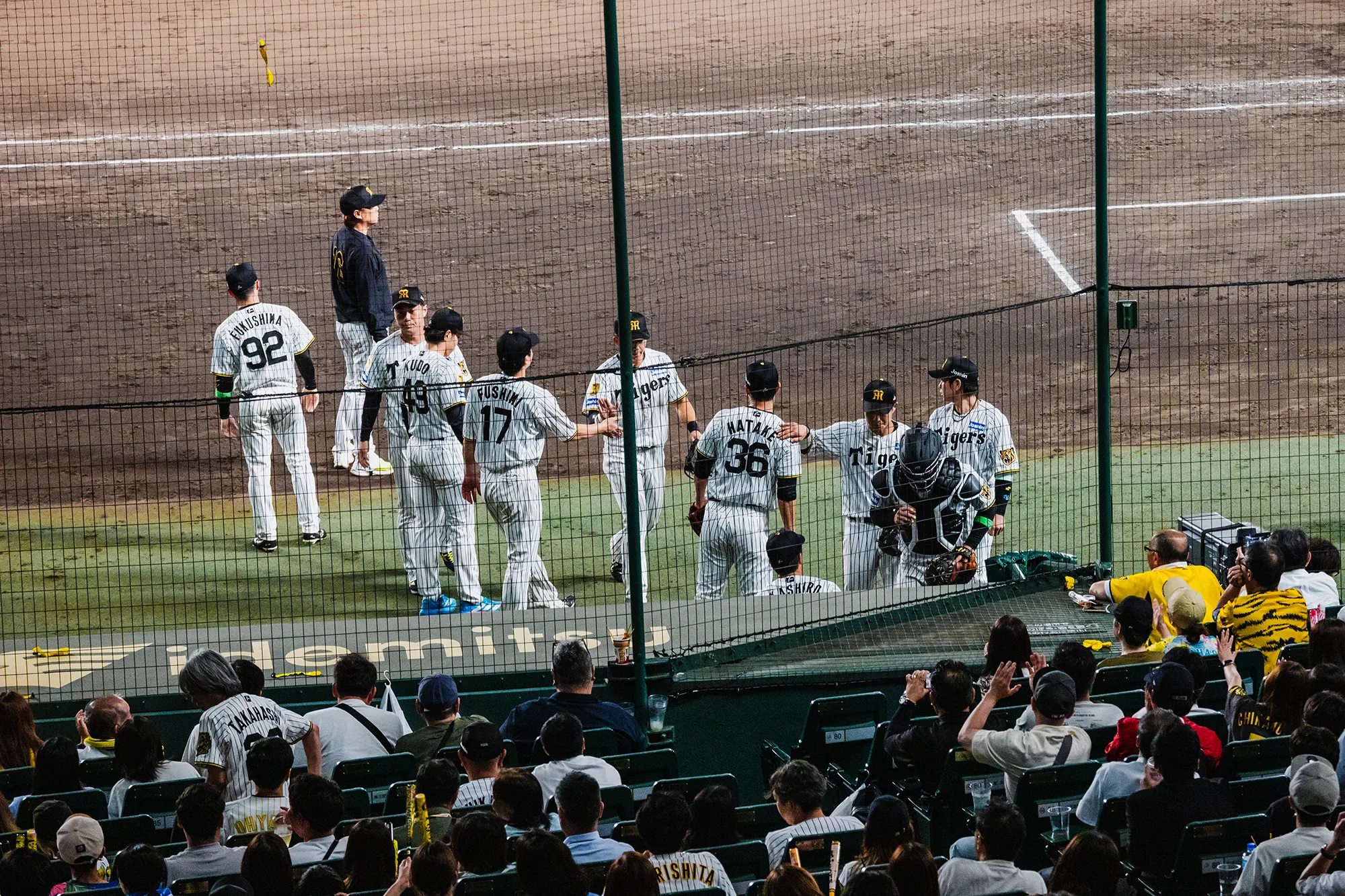 アイビーシートからの風景写真